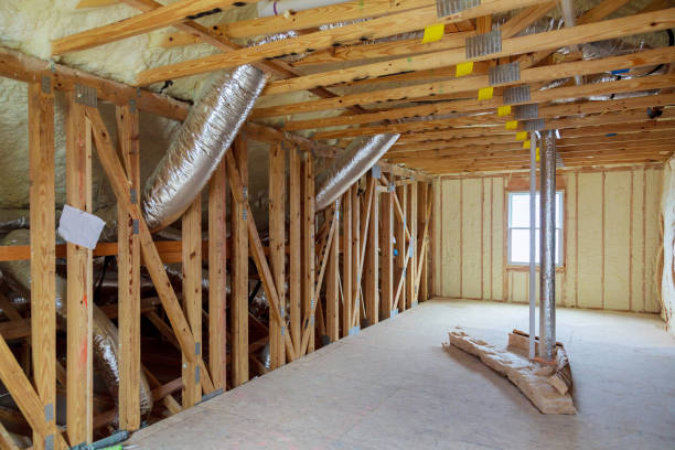 Best Eco-Friendly Insulation in Long Grove, IA