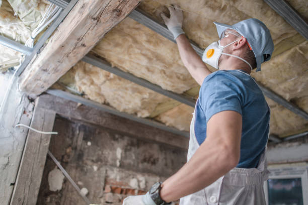Best Spray Foam Insulation in Long Grove, IA