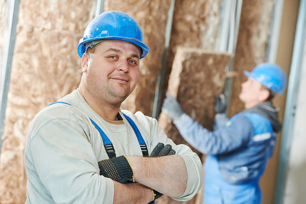 Best Specialized Insulation Services in Long Grove, IA