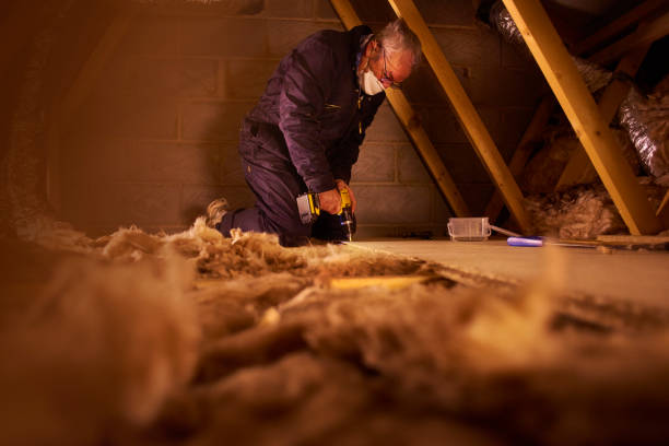 Types of Insulation We Offer in Long Grove, IA